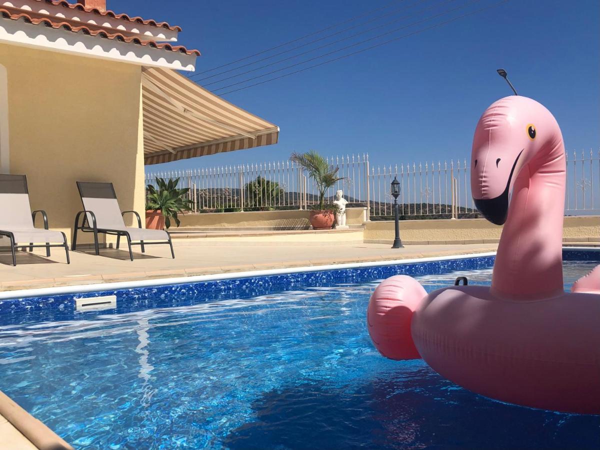 Peyia Palm Villa Paphos Extérieur photo